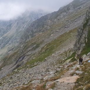 Náročný traverz čtyřtisícovek Schreckhorn a Lauteraarhorn ve Švýcarsku