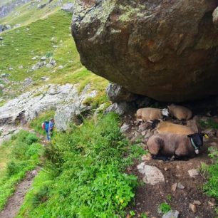 Náročný traverz čtyřtisícovek Schreckhorn a Lauteraarhorn ve Švýcarsku