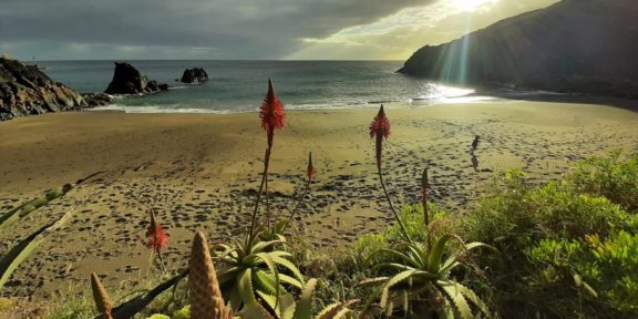 Madeira: Havaj Atlantiku