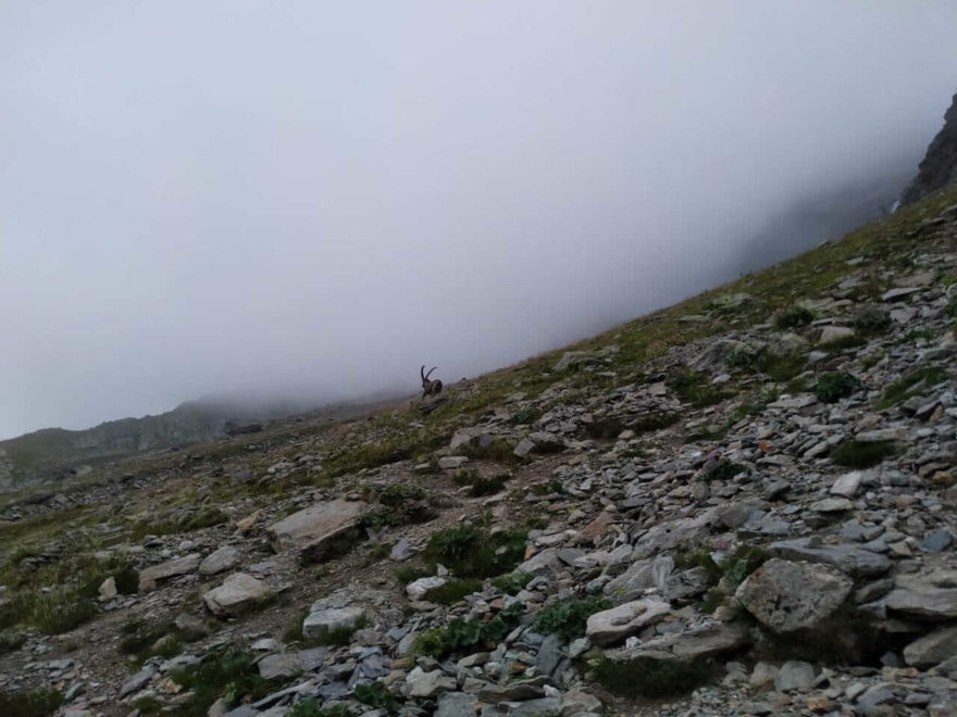 Náročný traverz čtyřtisícovek Schreckhorn a Lauteraarhorn ve Švýcarsku