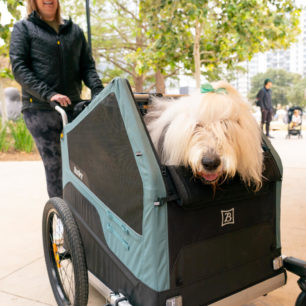 Přidáním madla a předního kola se z vozíku stává kočárek pro psa. Burley Bark Ranger.
