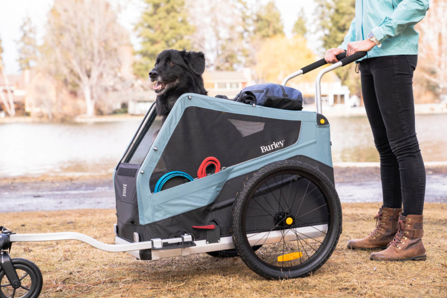 Přidáním madla a předního kola se z vozíku stává kočárek pro psa. Burley Bark Ranger.
