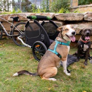 Vozík za kolo pro psa vybíráme podle velikosti a rasy psa. Vozík by měl mít dostatečný prostor a nosnost. Vozík Burley Tail Wagon je určený pro psy do 34 kg.