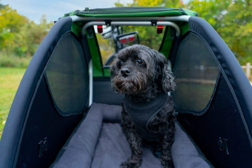 Vozík za kolo pro psa vybíráme podle velikosti a rasy psa. Vozík by měl mít dostatečný prostor a nosnost. Vozík Burley Tail Wagon je určený pro psy do 34 kg.