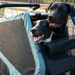 Cyklovozíky pro psy jsou tak stále oblíbenějším vybavením, které umožňuje užívat si výlety i s čtyřnohým parťákem. Vozík Burley Bark Ranger je určený pro psy do 34 kg, verze XL až do 45 kg.