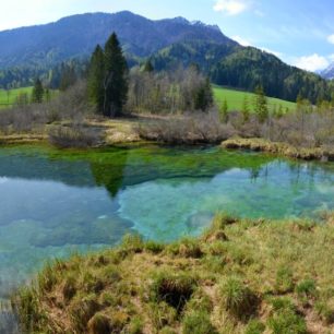 Smaragodvé jezírko Zelenci nedaleko Kranjské Gory, kde pramení řeka Sáva Dolinka - jedna ze zdrojnic Sávy. Julské Alpy, Slovinsko.