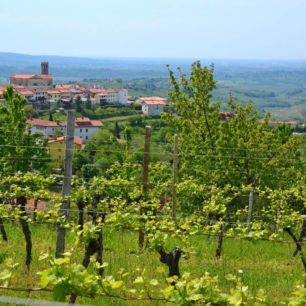 Vinohrady v okolí historického městečka Šmartno, vinařská oblast Goriška Brda, Slovinsko.