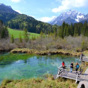 Smaragodvé jezírko Zelenci nedaleko Kranjské Gory, kde pramení řeka Sáva Dolinka - jedna ze zdrojnic Sávy. Julské Alpy, Slovinsko.
