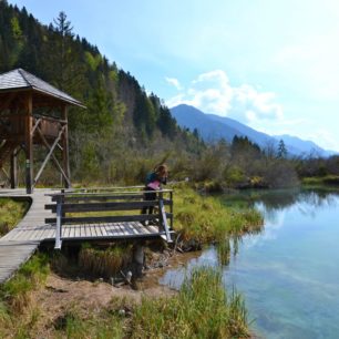 Smaragodvé jezírko Zelenci nedaleko Kranjské Gory, kde pramení řeka Sáva Dolinka - jedna ze zdrojnic Sávy. Julské Alpy, Slovinsko.