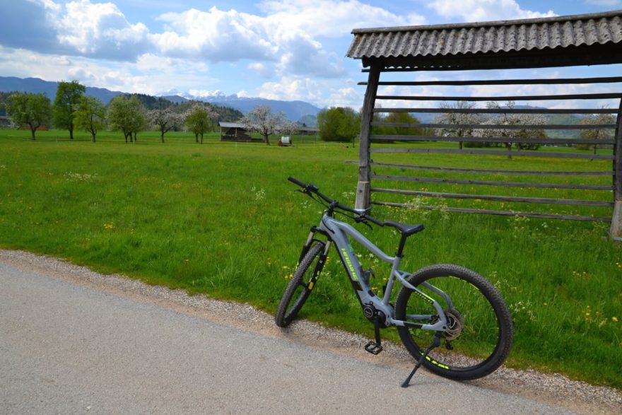 Typické slovinské stojany na sušení sena a Julské Alpy v pozadí. Louky mezi obcemi Ribno a Koritno u Bledu. Slovinsko.