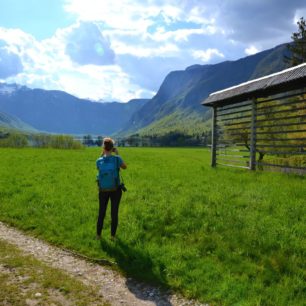 Typické slovinské stojany na sušení sena a Bohinjské jezero. Julské Alpy, Slovinsko.