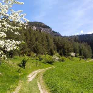Začátek lesa za Valaskou Dubovou, Velký Choč, Slovensko
