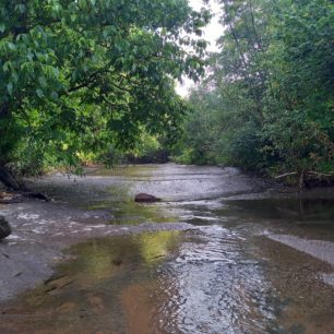 Nízký stav vody v říčce Kamenička reka v Senokosu, pohoří Stará planina, Srbsko