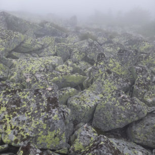 Kudy vede cesta dolů? Těžko říct, přechod pohoří Stará planina v Srbsku
