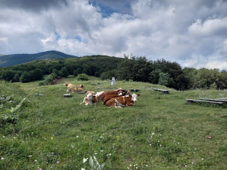 Svetinikolski prochod, přechod pohoří Stará planina v Srbsku