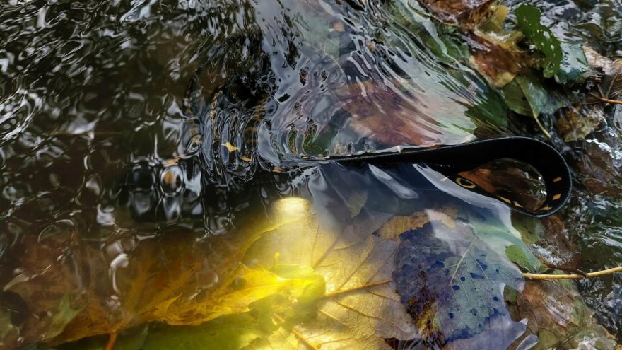 A teď tě necháme 30 minut ve vodě - ARMYTEK WIZARD C2 PRO