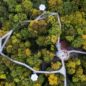Národní park Hainich: Bukový prales za humny