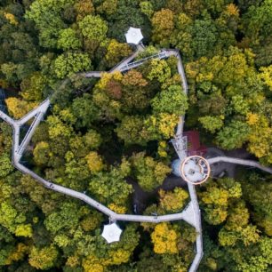stezka v korunách stromů celkový pohled na národní park Hainich.