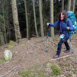 Velkou výhodou tohoto typu trekových holí je jejich univerzálnost, tedy možnost plnohodnotného využití v různých terénech