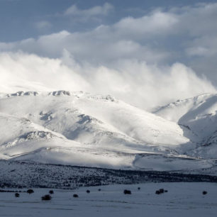 náhled, soutěz pinguin
