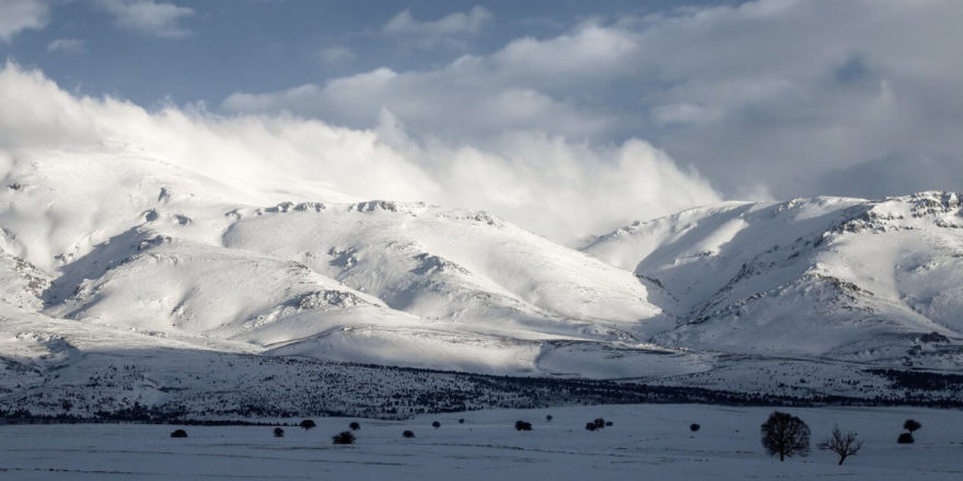 náhled, soutěz pinguin
