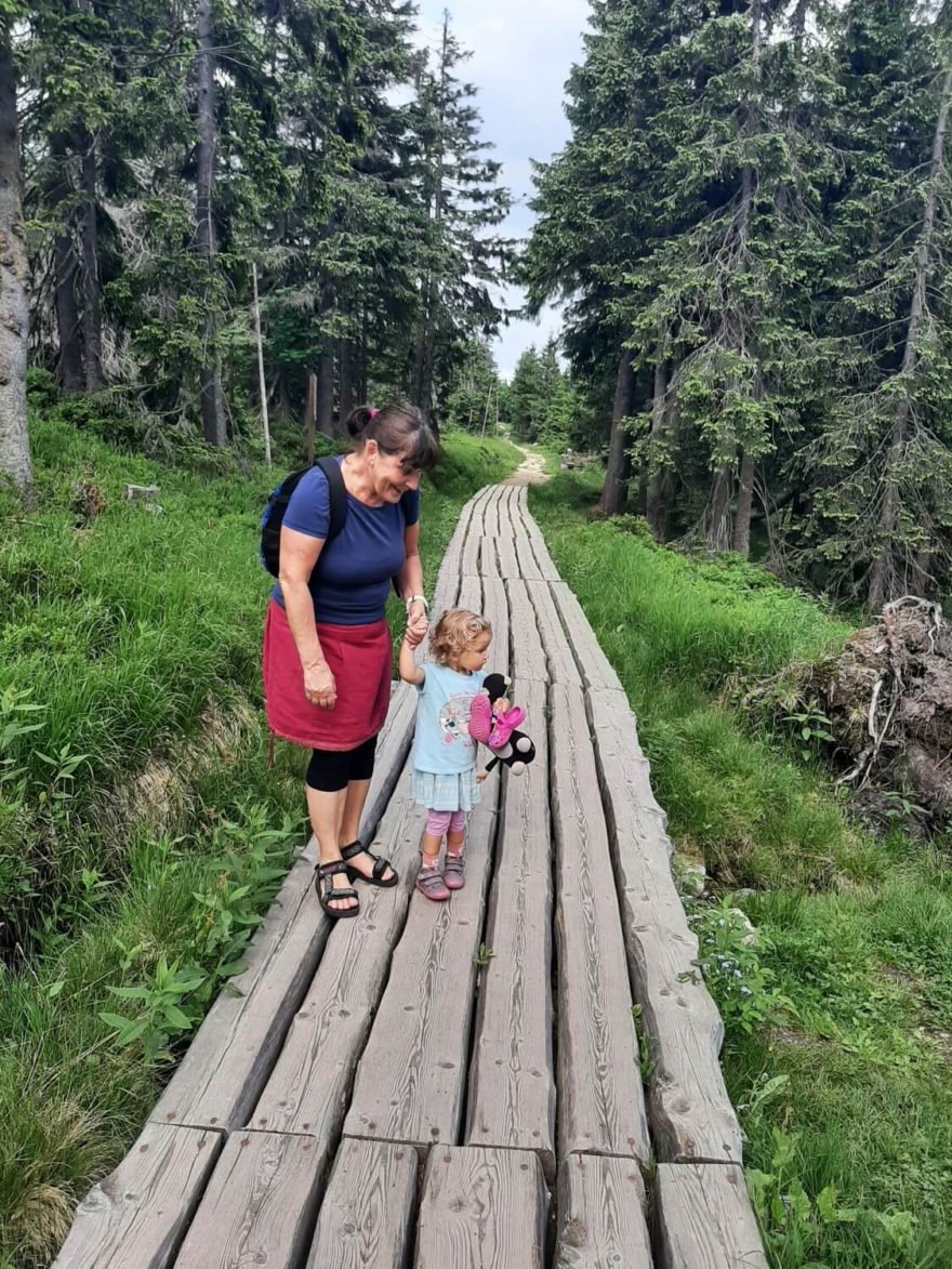 Stezka ze Špindlerovky na Moravskou boudu, Krkonoše.