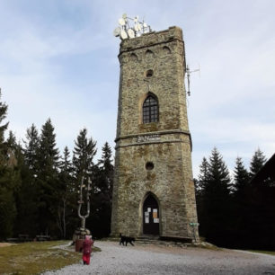 Rozhledna na vrcholu Žalý je oblíbeným výletním cílem a nabízí parádní výhledy na Krkonoše.