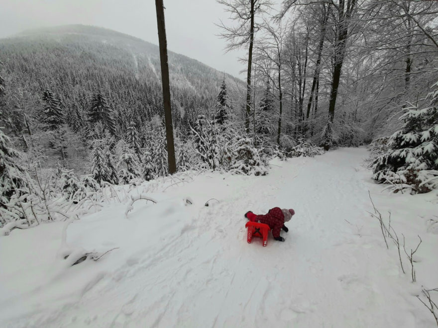 Z Moravské boudy si v zimě užijete parádní sjezd na bobech či sáňkách. Krkonoše
