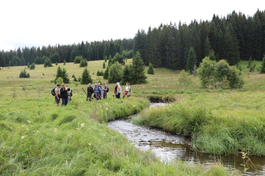 Exkurze mokřady kolem šumavské řeky Křemelná, Šumava