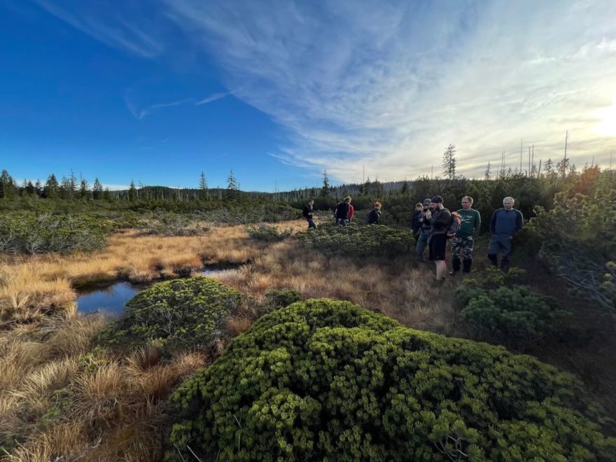 K nejkrásnějším bodům exkurze patří Šumavské slatě.