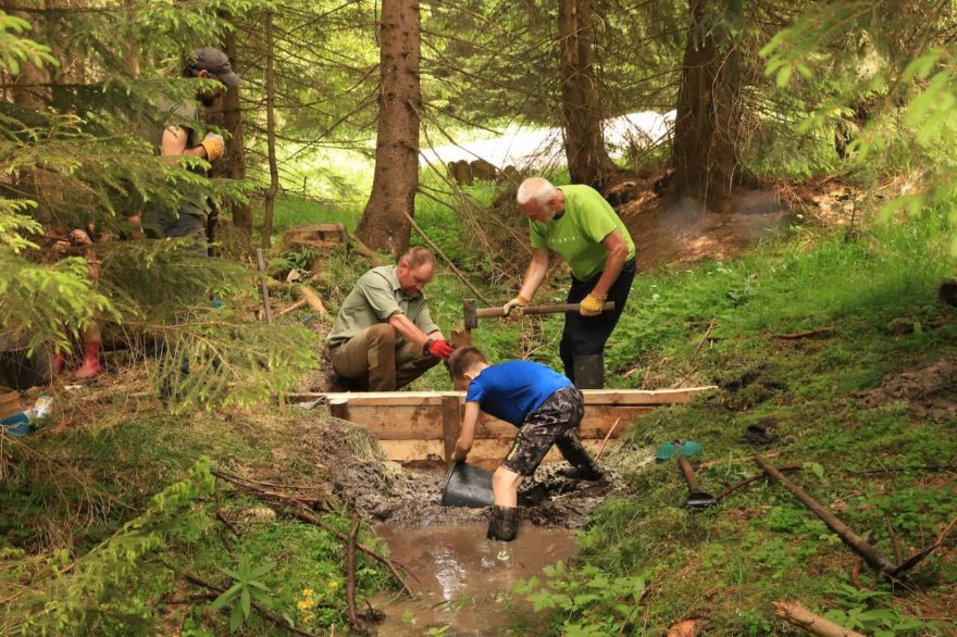 V podmáčeném území je potřeba pracovat s citem. K tomu využíváme rukou dobrovolníků, Šumava