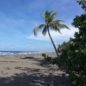 Kostarika: přechod od Karibiku k Pacifiku