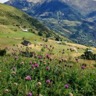 V létě je příroda Pyrenejí v plném květu.