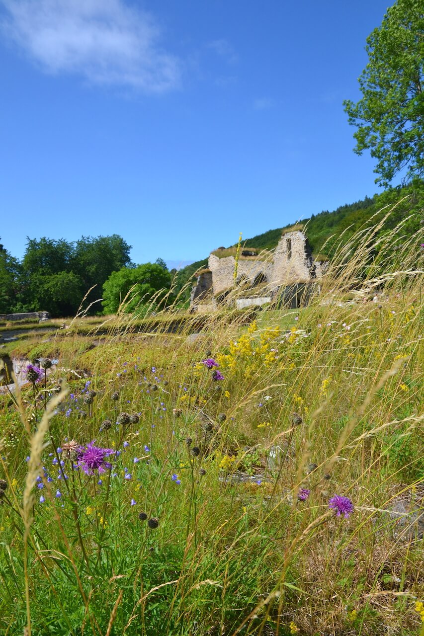 Zbytky kamenných kleneb ve volně přístupných ruinách cisterciáckého kláštera Alvastra, rezervace Omberg u jezera Vättern, Švédsko