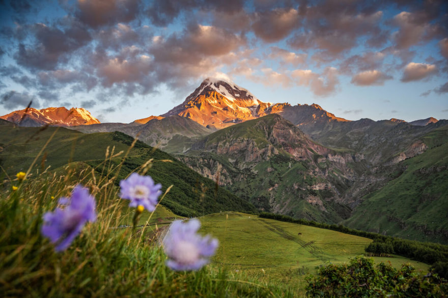 Fenomenální pohled na ledovce a rozkvetlé kvítí, Gruzie
