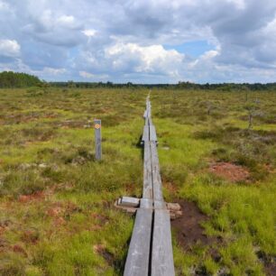 Národní park Store Mosse chrání vzácný ekosystém mokřadů, Švédsko
