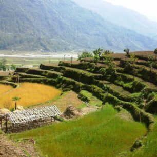 Začátek treku do Annapurna Base Campu vede vesničkami s rýžovými poli