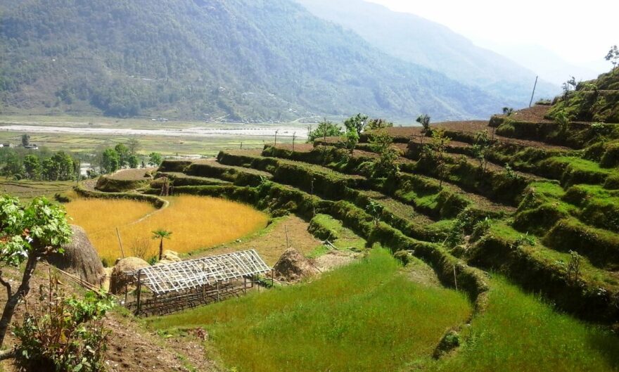 Začátek treku do Annapurna Base Campu vede vesničkami s rýžovými poli