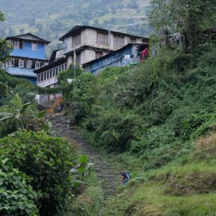 Poon Hill trek neboli Annapurna panorama trail je z jmenovaných treků nejjednoduší. Nabízí množství kulturních vjemů a zemědělské krajiny, navíc budete denně procházet vesničkami, kde to skutečně žije