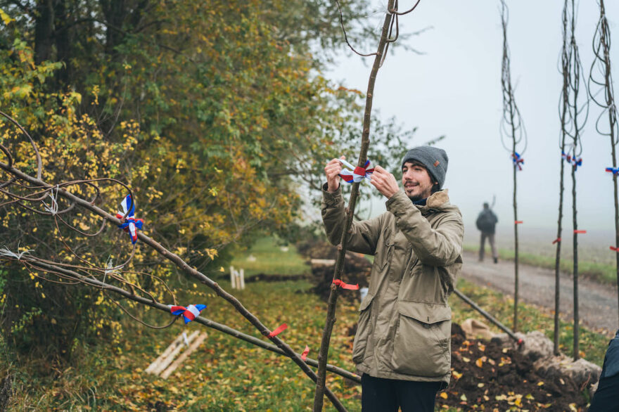 Alej svobody Šatově od iniciativy sázíme budoucnost (foto Tom Kalous)