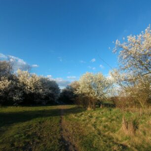 Střed snímku výborně exponován, mimo střed rozmazáno