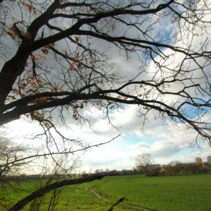 Ukázková fotka v protisvětle, střed výborně zaostřen, mim střed rozmazáno, expozice správně pouze v horní polovině snímku