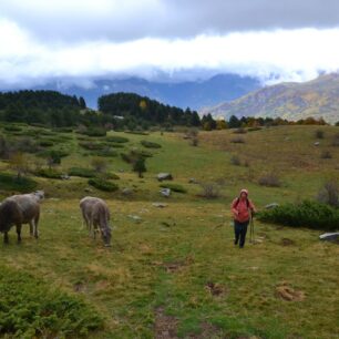 Okruh ke skalnímu oknu Piedrafita, údolí Tena, Pyreneje, Aragonie, Španělsko.