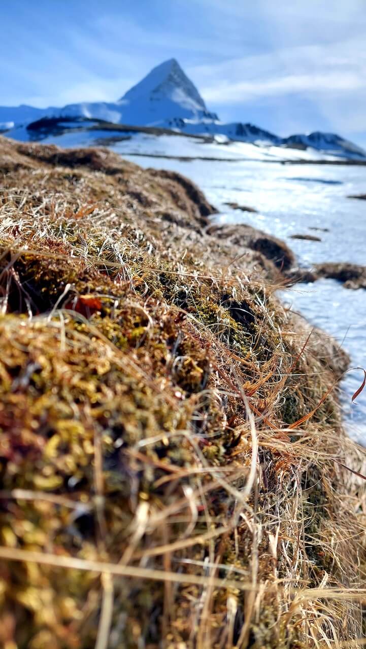 Islandský vrchol Skessuhorn, který svým tvarem připomíná malý islandský Matterhorn