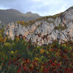 Barvy babího léta v odlehlém údolí Bujaruelo, Pyreneje, Španělsko.