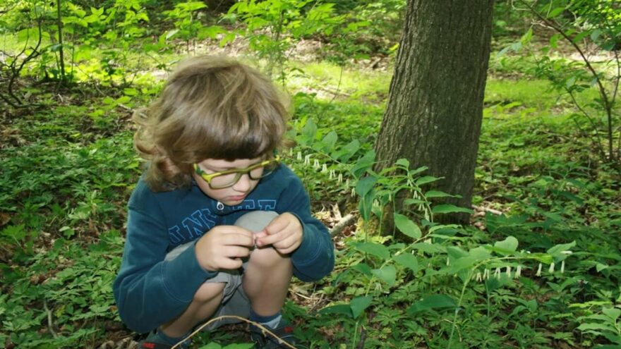 Je dobré poznat českou krajinu a pak poznávat cizí kraje.