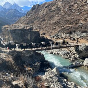 Celý trek do Everest Base Campu vede územím proslulé etniky Šerpů, kteří sem přišli z Tibetu. Často jejich jediným zdrojem obživy bývá přeprava zavazadel jak za pomoci zvířat, tak vlastní silou.