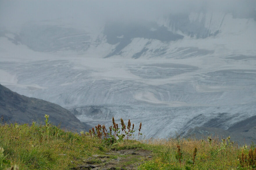 Trek Gran Paradiso vede skalnatou krajinou přes množství potoků a sněhových polí.
