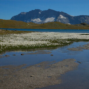 Trek Gran Paradiso vás zavede do zelených svěžích údolí s modrými hladinami jezerTrek Gran Paradiso vás zavede do zelených svěžích údolí s modrými hladinami jezer