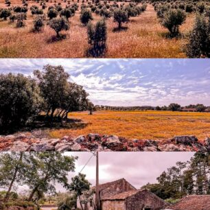 Putování Portugalskem od severu k jihu po dálkových trasách Svatojakubská cesta (Camino de Santiago) a Rota Vincentina